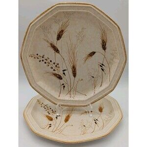 (2) Vtg  1970s Mikasa Avante Torino 10.75" Dinner Plates